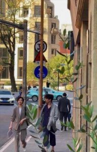 ​唐嫣罗晋甜蜜现身上海迪士尼：低调幸福家庭生活曝光