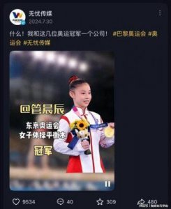 ​吴柳芳年收入揭秘：代言费用与退役后的职业前景分析