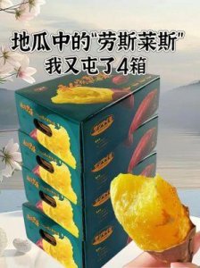 ​雪中悍刀行吃红薯（无删减），第91章原文全文阅读
