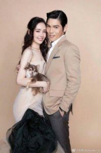 ​“夫妻本是同林鸟”，但抱歉，郭碧婷这次“救”不了向佐