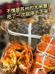 ​朱敏瀚健康引担忧，食量惊人背后暗藏风险