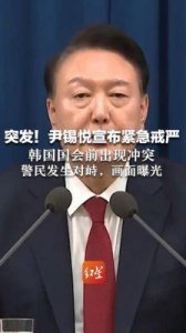 ​了解韩国政治：必看韩剧推荐与尹锡悦最新动态分析