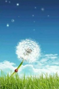 ​缘分的轮回：从八年恋爱到爱的归宿