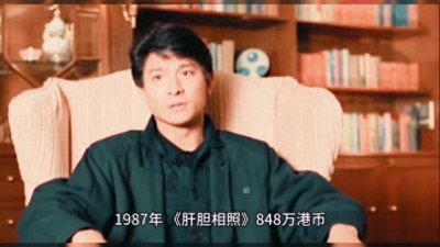 ​一年一影帝百年刘德华电影香港票房（1982-2017）