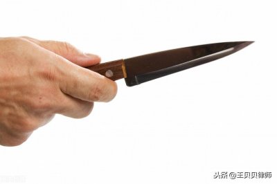 ​北大学子弑母案今日开庭，闹剧结局，高智商犯罪难逃法网恢恢