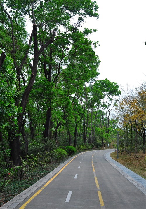 随拍公园-深圳 聚龙山公园