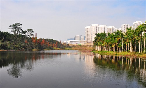 随拍公园-深圳 聚龙山公园