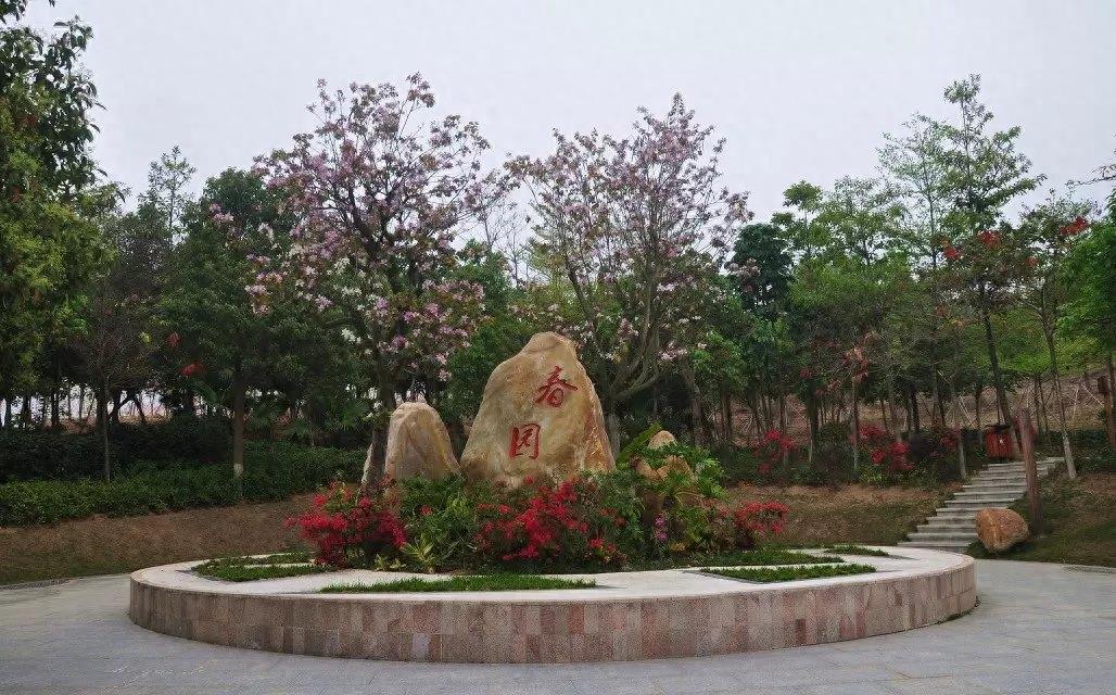 随拍公园-深圳 聚龙山公园