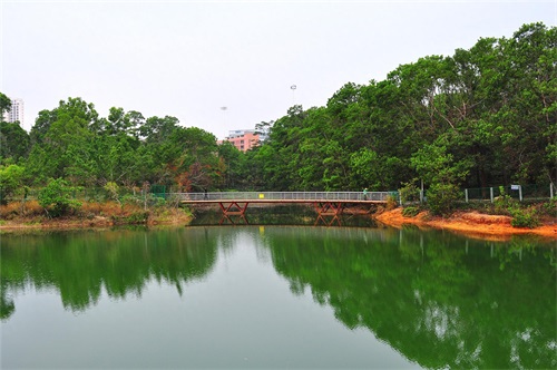 随拍公园-深圳 聚龙山公园