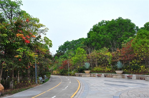 随拍公园-深圳 聚龙山公园