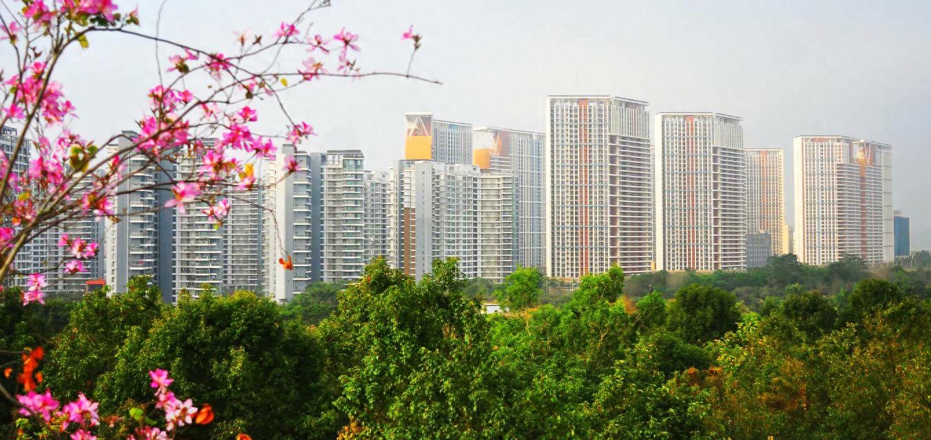 随拍公园-深圳 聚龙山公园