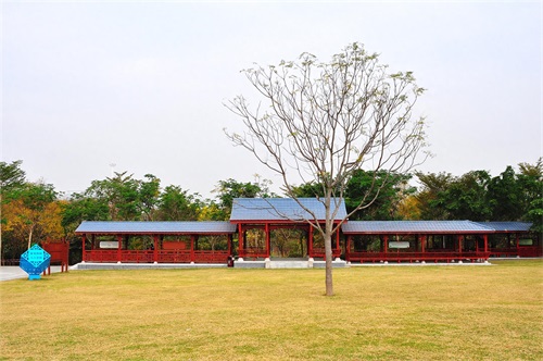 随拍公园-深圳 聚龙山公园