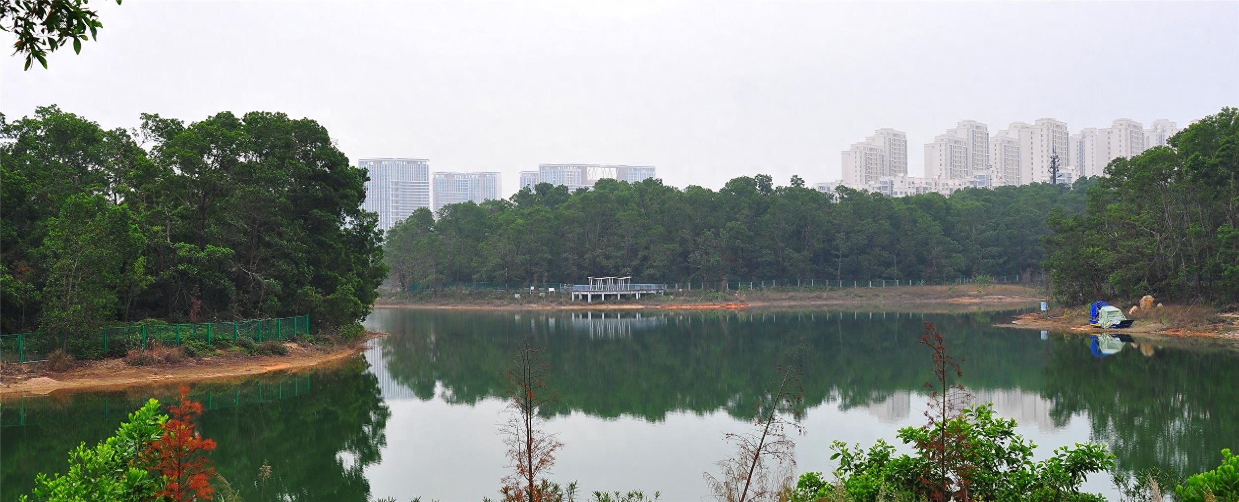 随拍公园-深圳 聚龙山公园
