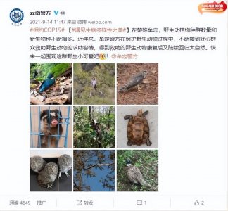 ​9月14日是什么大日子？