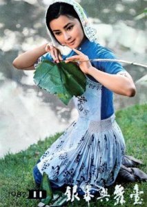 ​“最美杨贵妃”周洁生前最后时光：自费27万元包机回国，仅5天后离世
