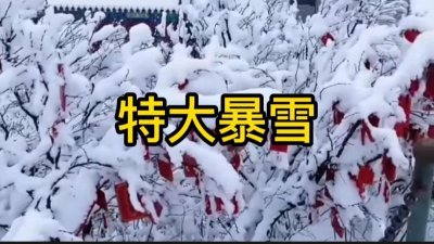 ​天气预报：大暴雪范围已确认，正月十五雪打灯，谚语是啥预兆？