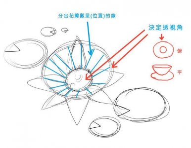 ​动漫睡莲的画法，一步一步教你绘制美丽的睡莲