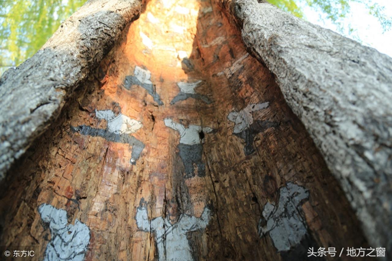 中国民间，是否真的有武功秘籍？