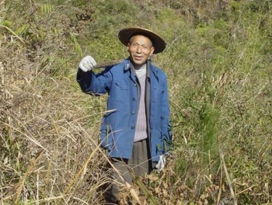 ​好消息！农村将迎来新一代“村村通”，不是修路，农民有福了