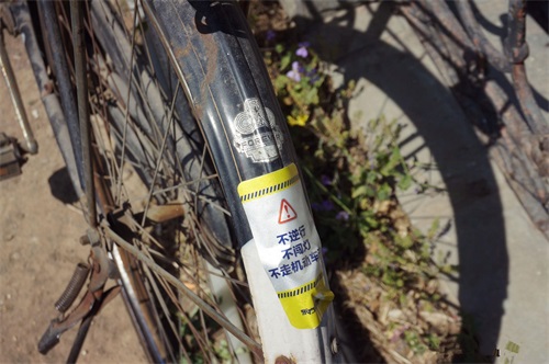 一辆永久牌自行车，承载了多少人的青春记忆！