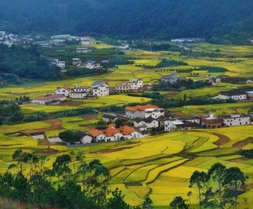 ​中国百强乡镇前十：苏州乡镇独占6席，佛山狮山镇稳居第二
