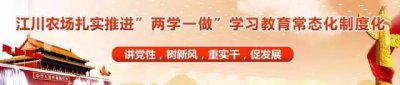 ​江川新闻 实时播报 时时关注身边事！
