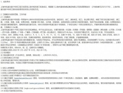 ​上海轨道交通19号线站点推测