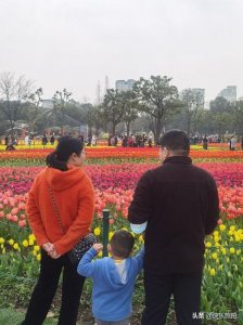 ​今天上海大宁郁金香公园游人如织，场景十分火爆……