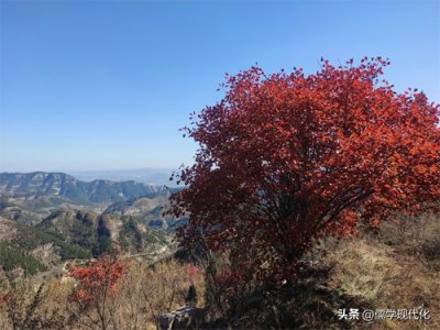 ​《生活论语卫灵公篇》27子曰：“巧言乱德，小不忍，则乱大谋。”