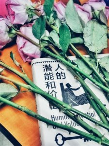 ​人的潜能和价值是什么？浅聊人本主义