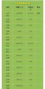 ​肉兔价格暴涨，市场严重缺货，你养兔子了吗？