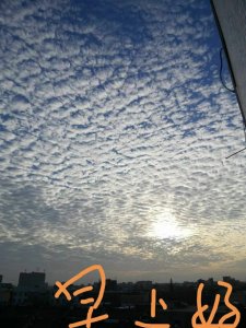 ​看云识天气：天现鱼鳞云，预示要变天了么？