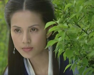 ​杨门女将大全(剧中13位美人谁最美)