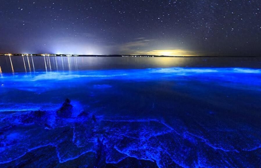 荧光海滩（火星湖）·马尔代夫