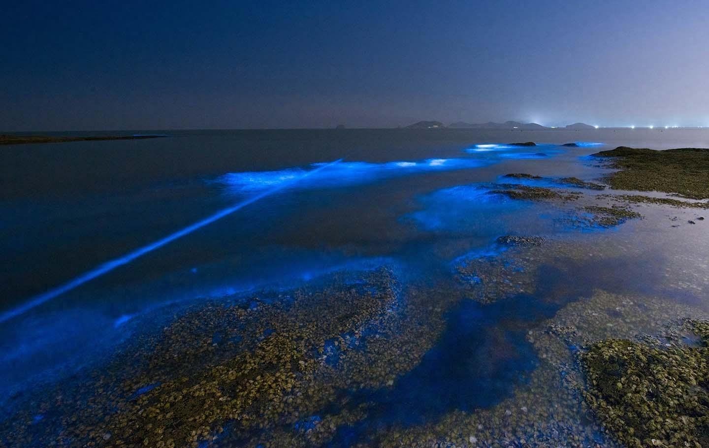 荧光海滩（火星湖）·马尔代夫