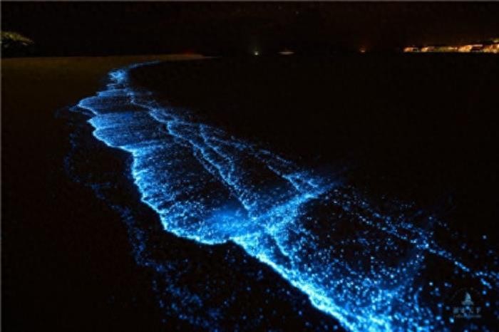 荧光海滩（火星湖）·马尔代夫