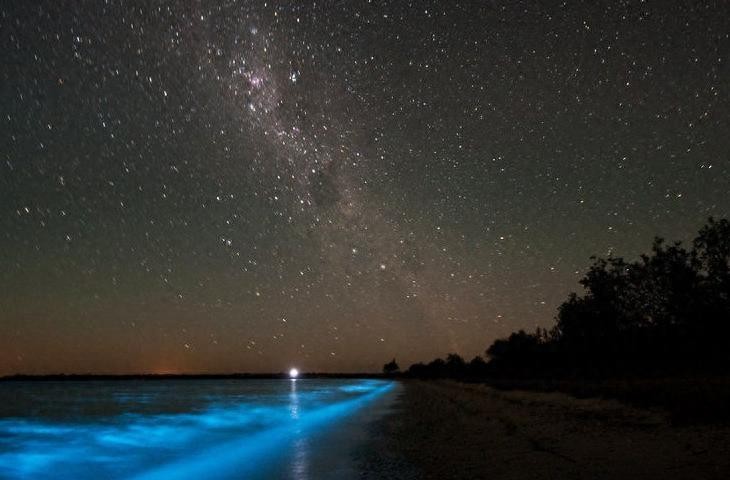荧光海滩（火星湖）·马尔代夫