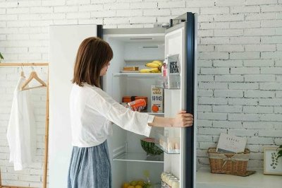 ​西门子嵌入式冰箱480升双开门（超大容量对开门）