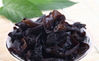 新鲜木耳到底能不能吃,新鲜木耳可以直接食用吗图3