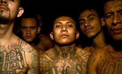 ​MS-13，世界上最残暴的黑帮历史——你听说过蚂蚁帮吗？
