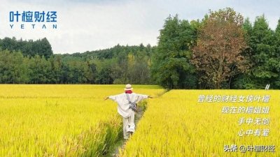 ​深圳改革与创新：越开放越发展，永不止步