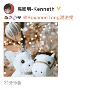 ​求婚汤洛雯成功！马国明 13:14 晒钻戒公开喜讯