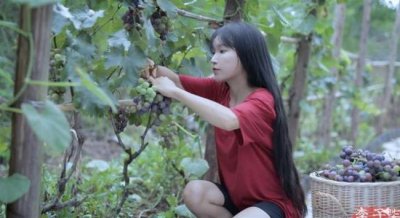 ​李子柒的详细资料，李子柒什么星座
