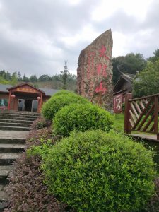 ​广西国家级第一家：贺州大桂山国家森林公园观光记